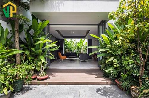 Cách Trang Trí Cây Cảnh Trong Nhà Đẹp Và Phù Hợp Phong Thuỷ