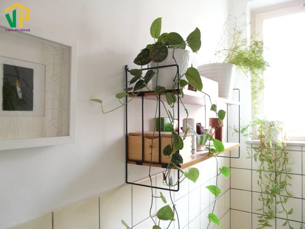 Mách bạn 7 cách hóa giải nhà vệ sinh ở giữa nhà đúng cách Mách bạn 7 cách hóa giải nhà vệ sinh ở giữa nhà đúng cách
