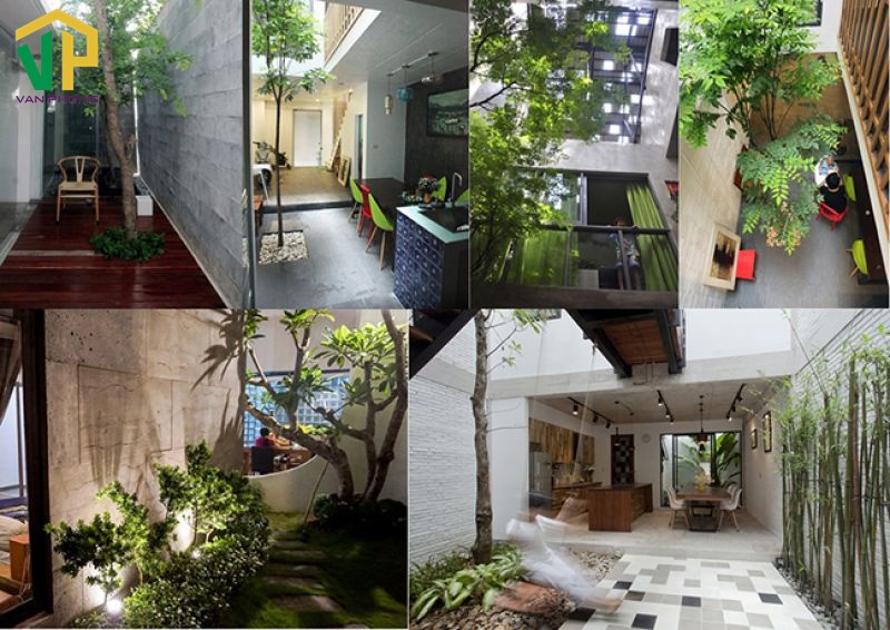 Trang trí cây cảnh trong nhà phù hợp phong thuỷ và đẹp mắt