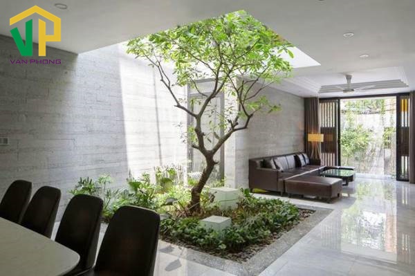 Thẩm mỹ ngôi nhà được nâng cao khi trang trí cây cảnh phù hợp