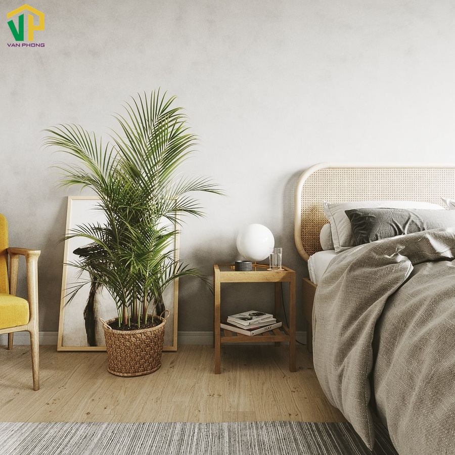 Đặt cây cảnh trong phòng ngủ mang lại cảm giác dễ chịu và loại bỏ không khí độc hạ