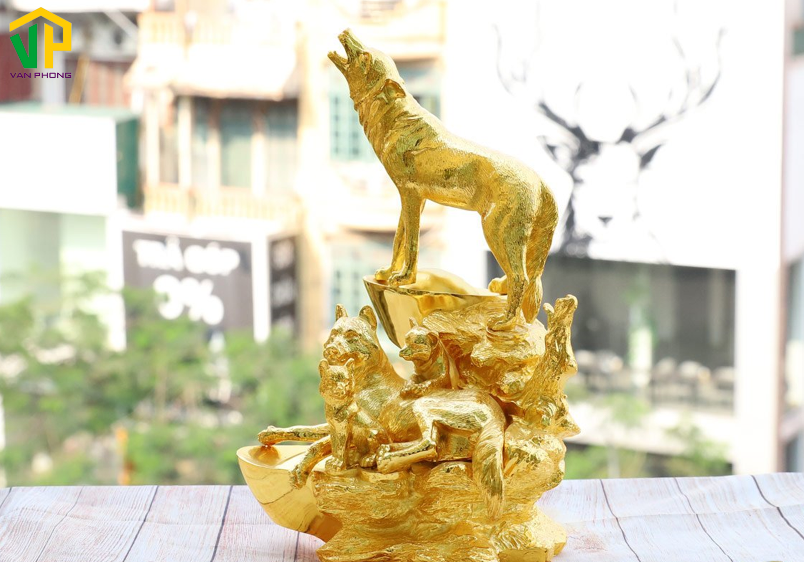 Gia chủ tuổi Tuất nên chọn hướng nhà nào? 